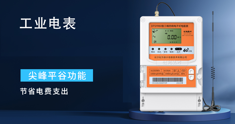 工業(yè)電表